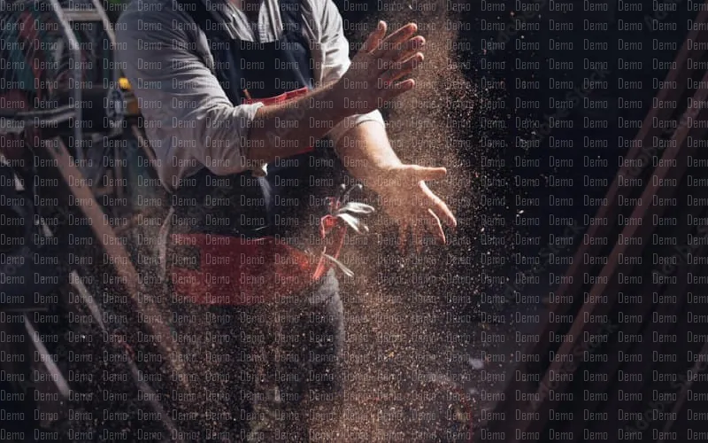 adobestock_397036009_preview.jpeg